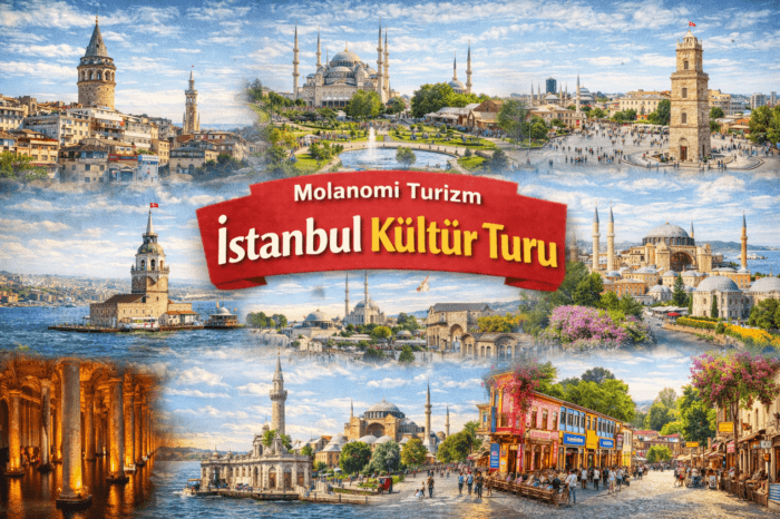 İstanbul Kültür