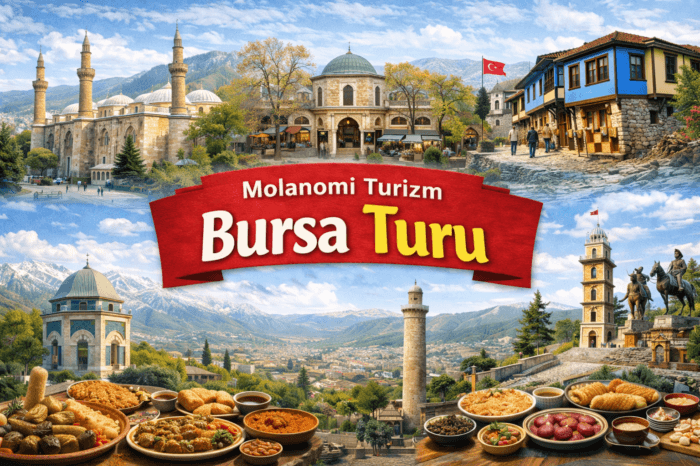 Bursa